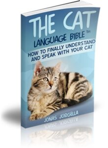 Cat Language Bible digital guide cover
